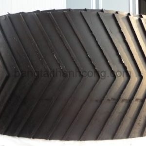 Daybangtaicaosuchuv-01-450x338