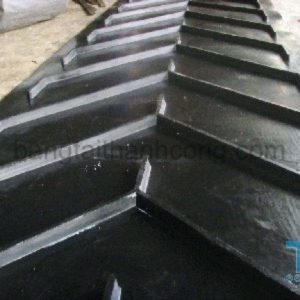 Daybangtaicaosuchuv-03-768x576