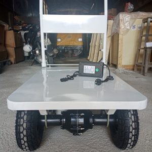 Xe đẩy hàng chạy điện 300KG 7 Xe-day-hang-300-kg-1